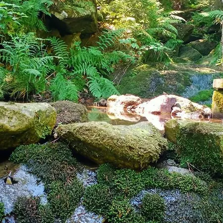 Natura Swieradow-Zdroj