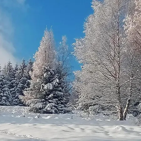Natura Апартаменты *