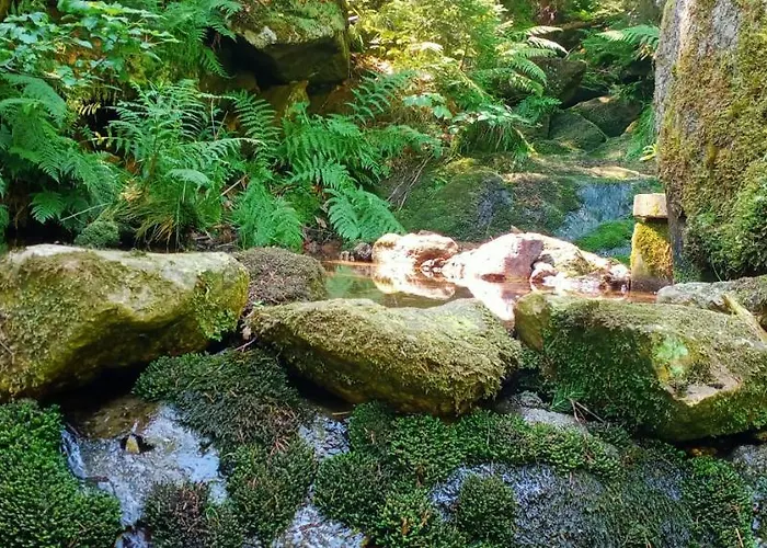 Natura Swieradow-Zdroj